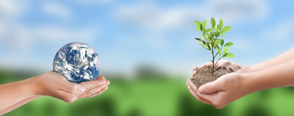 ISO 14001 de gestión medioambiental