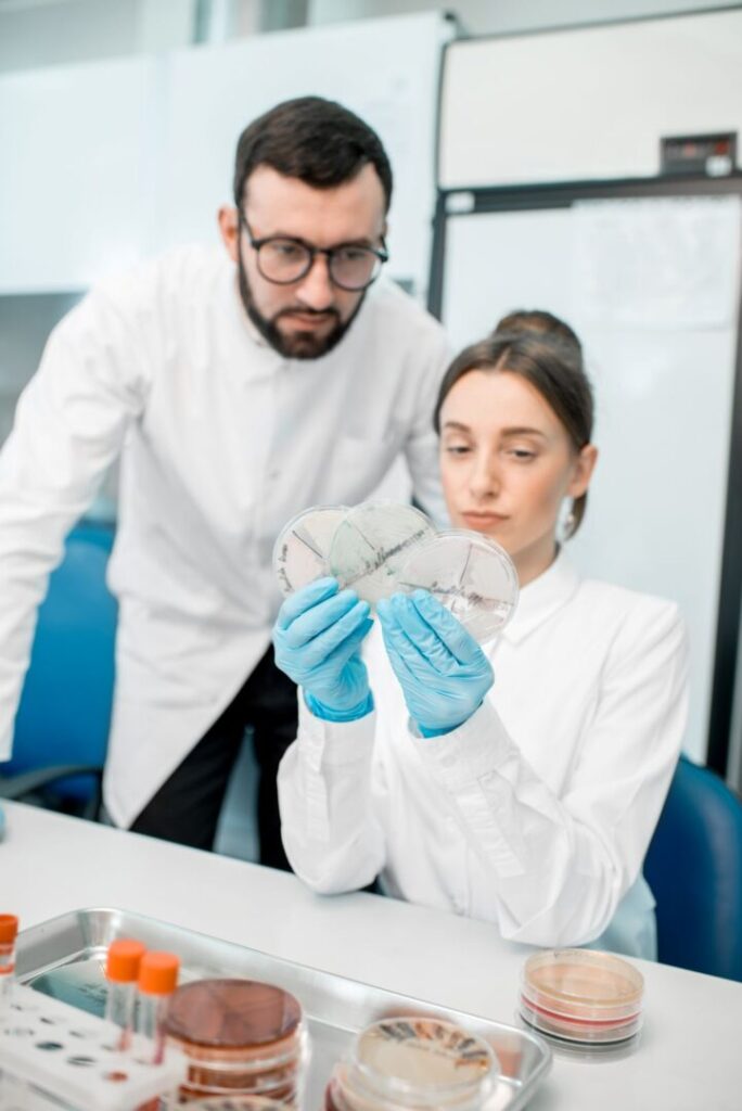 Injerto óseo humano